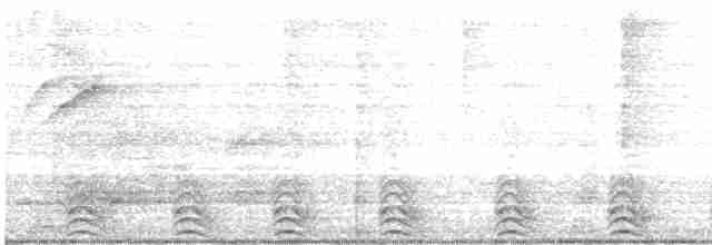 Gri Kuyruklu Trogon - ML617534732