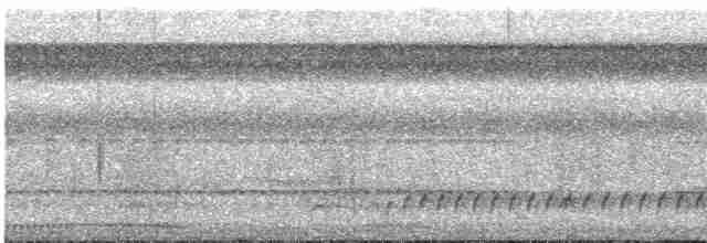 Лінивка-строкатка білошия - ML617535412