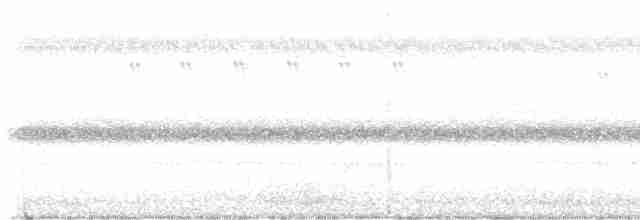 Pauraquenachtschwalbe - ML617535788