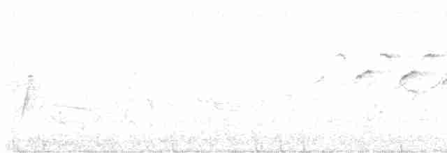 hvitkragefrøeter - ML617535800