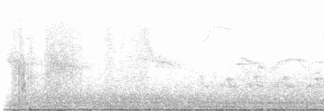 European Starling - ML617536222