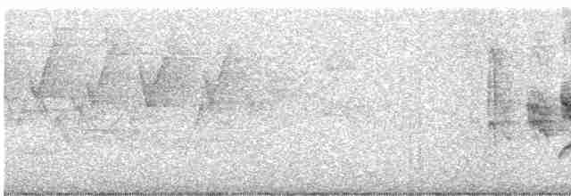 Common Yellowthroat - ML617536496