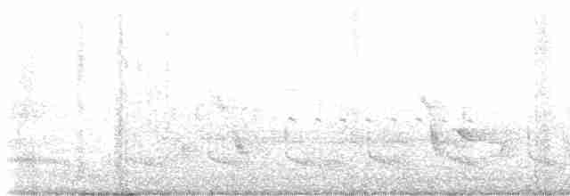 Oriole des vergers - ML617537106