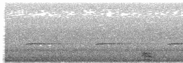 Black-crowned Night Heron - ML617537145