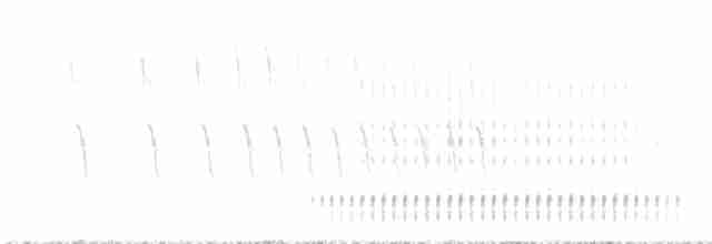 Арлекиновый дятел - ML617537315
