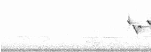 Yellow-throated Warbler - ML617538538