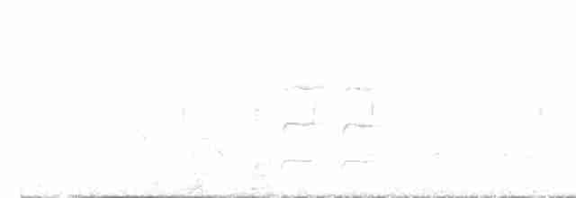 Azaradickichtschlüpfer - ML617538854