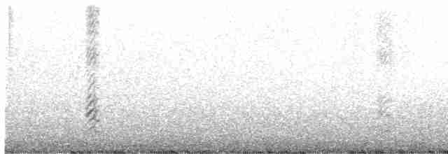 Bec-en-ciseaux noir - ML617539956