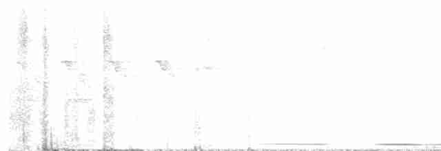 White-tipped Dove - ML617540359