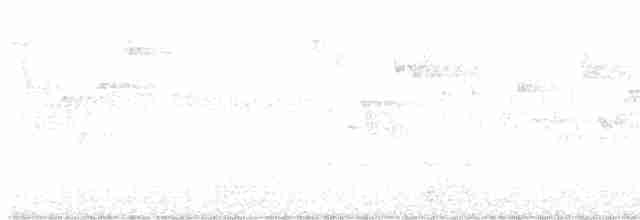 Тихоокеанский крапивник - ML617541474