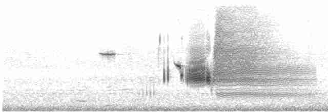 Приморская овсянка-барсучок [группа sennetti] - ML617543445