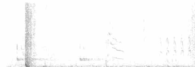 Дятел-смоктун сосновий - ML617543836