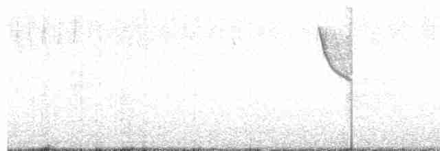 Mavi-Beyaz Kırlangıç - ML617544098