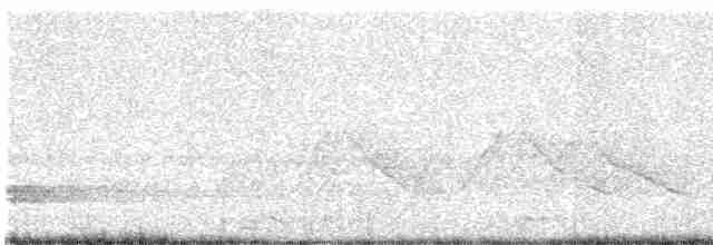 White-eared Sibia - ML617544488