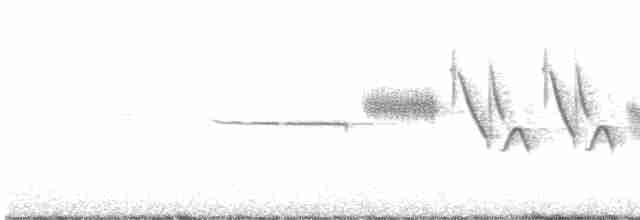 Dachsammer (pugetensis) - ML617544628