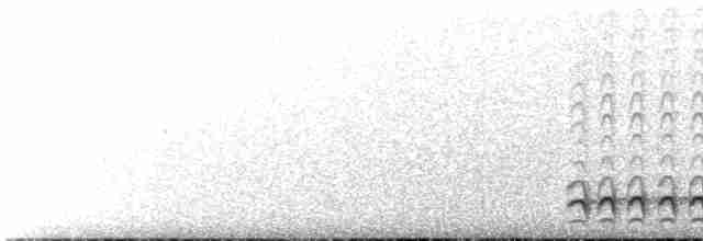 Black-crowned Antshrike - ML617545097