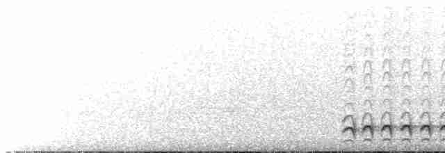 Black-crowned Antshrike - ML617545098
