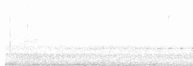 Каролинский крапивник - ML617545697