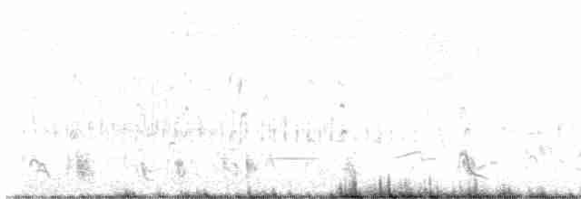 Sharp-tailed Grouse - ML617545972