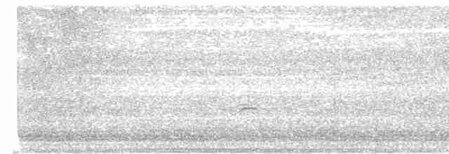 Дрізд-короткодзьоб Cвенсона - ML617546042