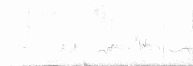 Черноголовый толстонос - ML617546479
