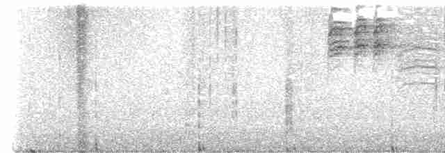 Kestane Karınlı Baştankara - ML617546531