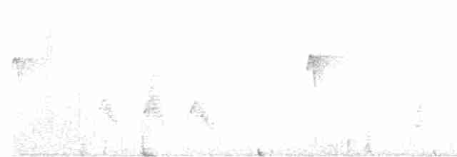 Kurzschwanz-Dickichtschlüpfer - ML617547185