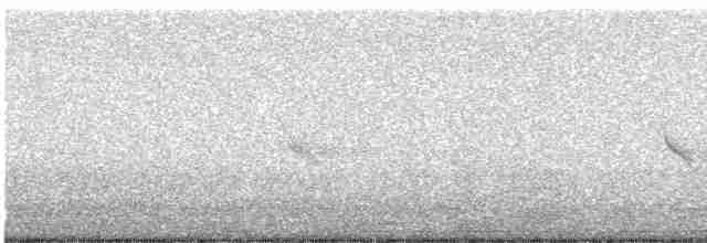 Evening Grosbeak (type 1) - ML617547640