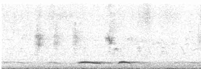 Инкская земляная горлица - ML617548124