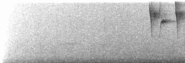 kolibřík bělobradý - ML617548367