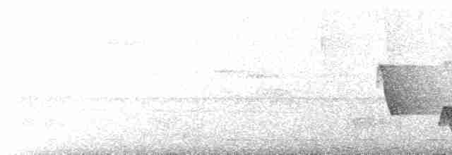 Белоухий крапивник - ML617548434