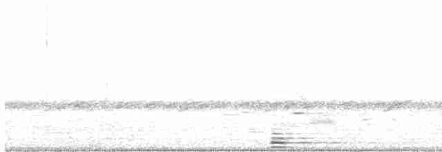 Cisne Trompetero - ML617548763