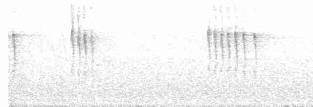 Тихоокеанский крапивник - ML617549001