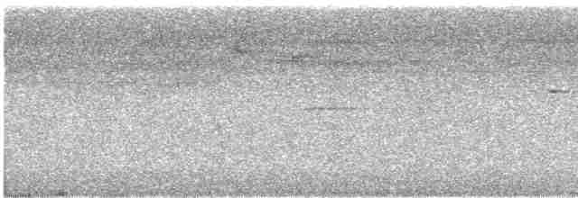 tykknebbkråke (macrorhynchos gr.) - ML617549223