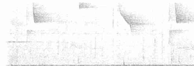 kolibřík azurovoprsý - ML617549245