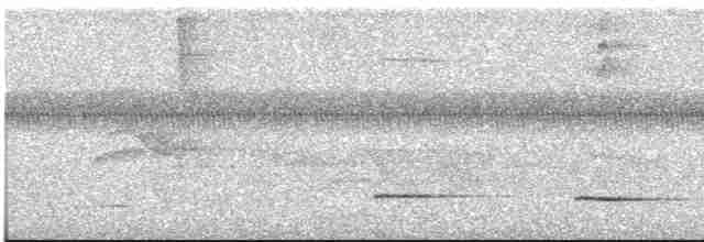 Kara Yüzlü Karıncaardıcı - ML617549369