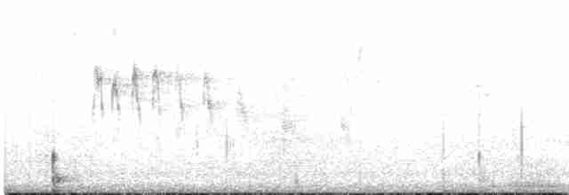 Slender-tailed Woodstar - ML617549624