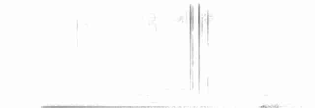 Alción de Esmirna - ML617551742