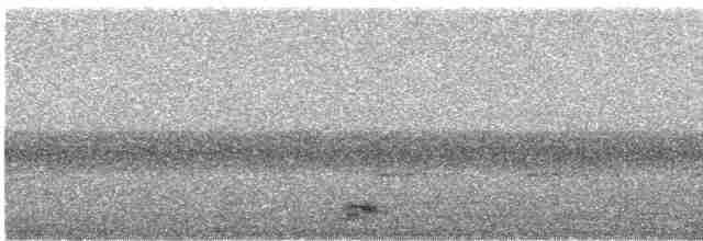 Black-crowned Night Heron - ML617555129