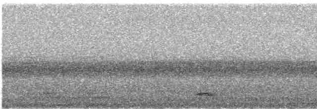 Black-crowned Night Heron - ML617555130