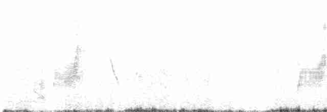 Weißkehlmonarch - ML617555384