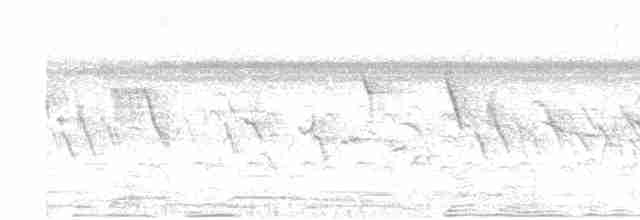 Kestane Karınlı Koca Tohumcul - ML617555563
