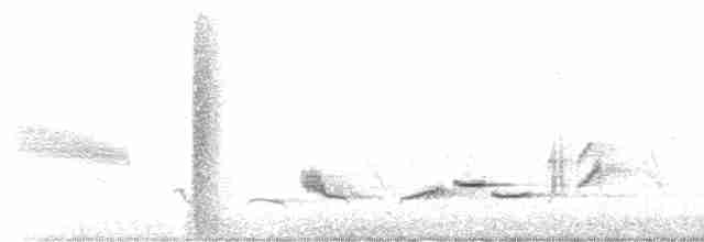 European Greenfinch - ML617556384
