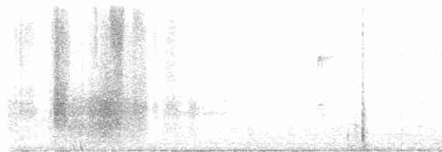 lesňáček černobílý - ML617556815