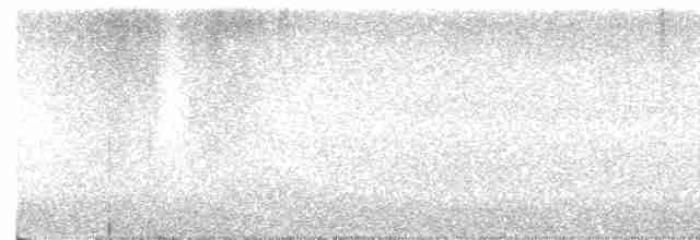 Трясогузковый певун - ML617559002