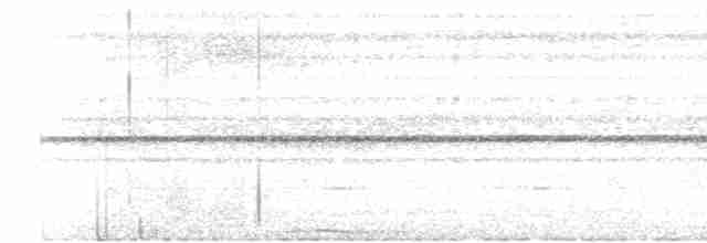 holub černobradý - ML617559913