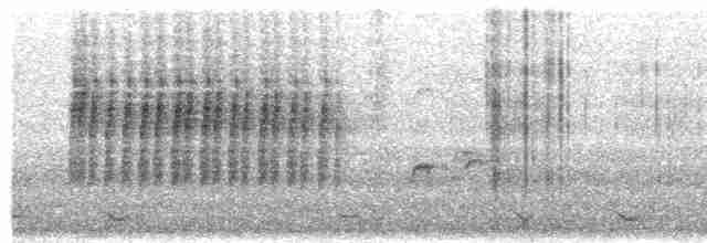 東方角鴞(sunia群) - ML617560467
