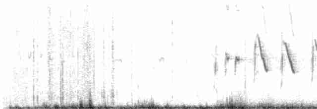 Карруский жаворонок - ML617562451