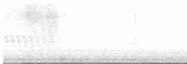 Кропив'янка прудка (підвид curruca/blythi/hamertoni) - ML617563521