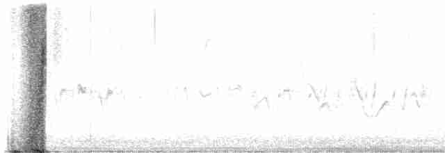 Шишкар ялиновий - ML617563764